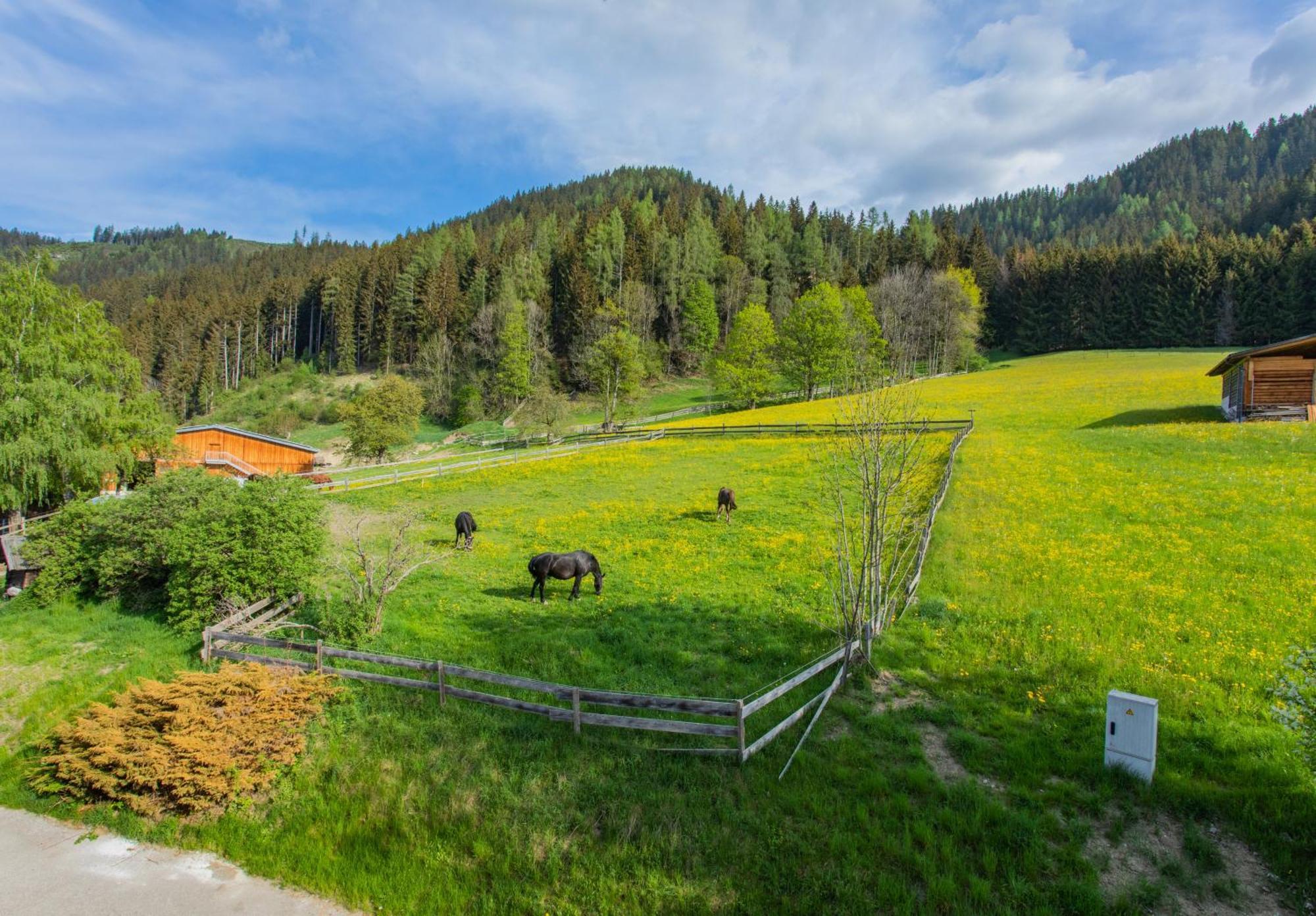 Huberhof 1 By Alpenidyll Apartments Schladming Exteriér fotografie